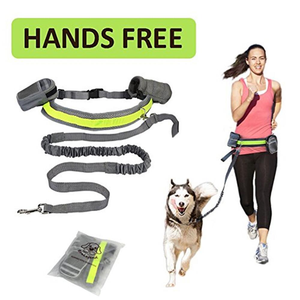 Hands-Free Dog Running Leash Set | 4 Piece Jogging Kit