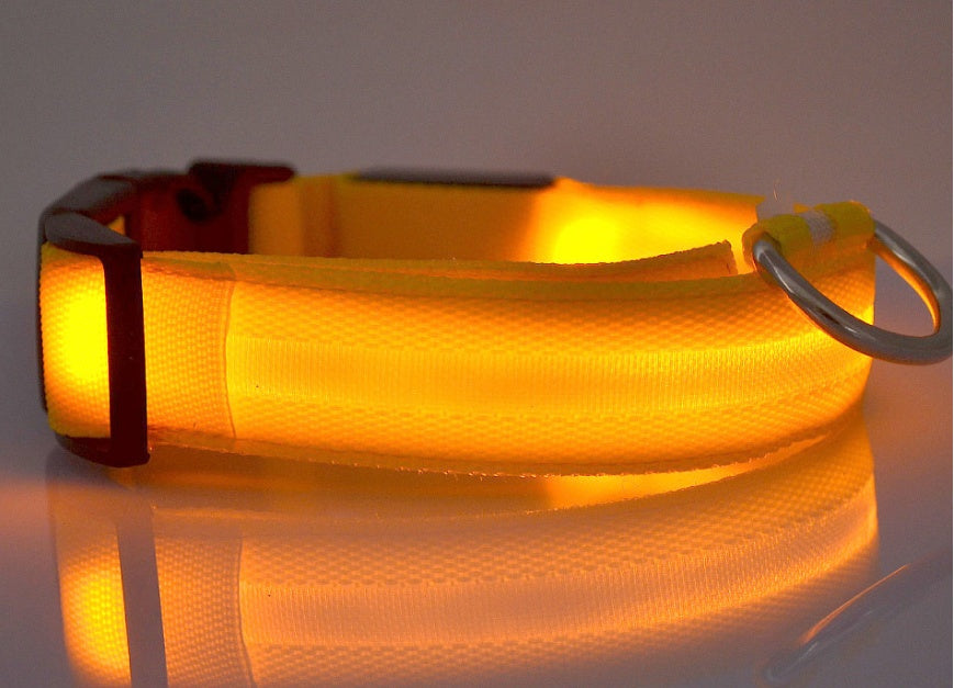 LED Luminous Dog Collar | Nylon Night Safety Flashing Collar XS–XL