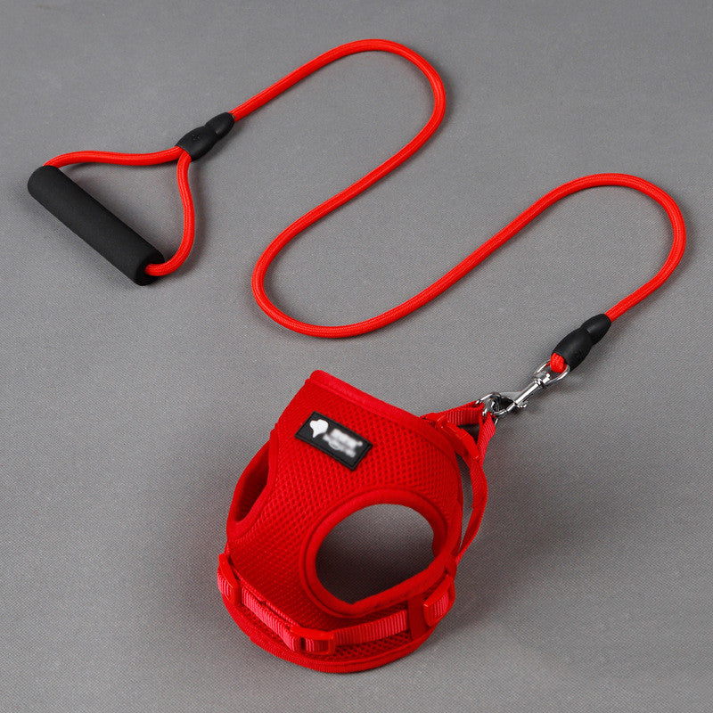 Mesh Dog Harness & Leash Set | Foam Handle | Small Dogs