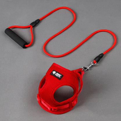 Mesh Dog Harness & Leash Set | Foam Handle | Small Dogs