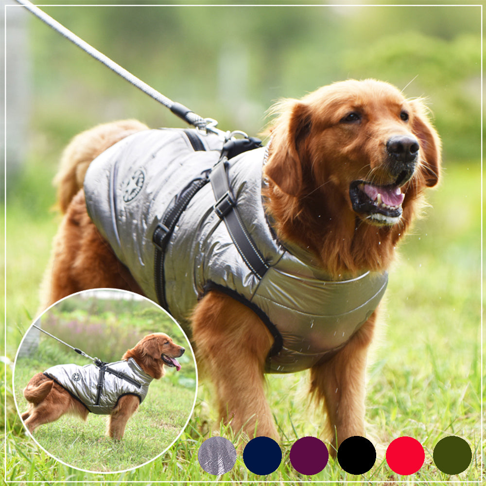 Waterproof Dog Raincoat & Winter Jacket | Windproof Outdoor Coat XS–4XL
