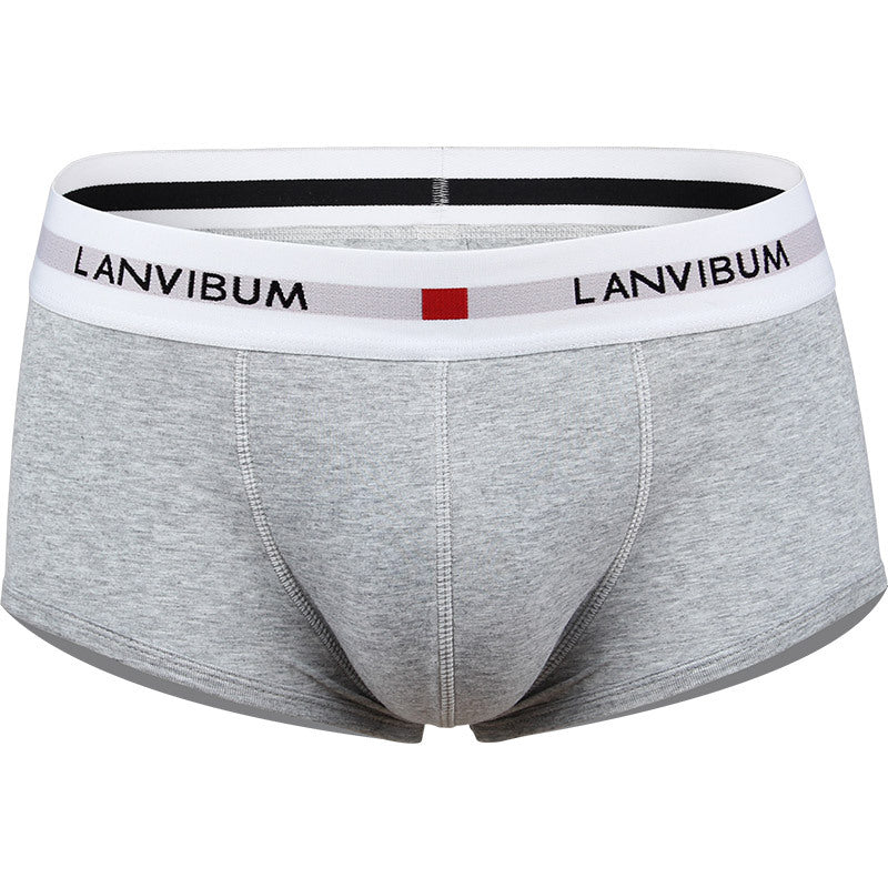 Men's Cotton Boxer Briefs – Low-Waist Everyday Underwear 5 Colours