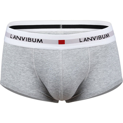 Men's Cotton Boxer Briefs – Low-Waist Everyday Underwear 5 Colours