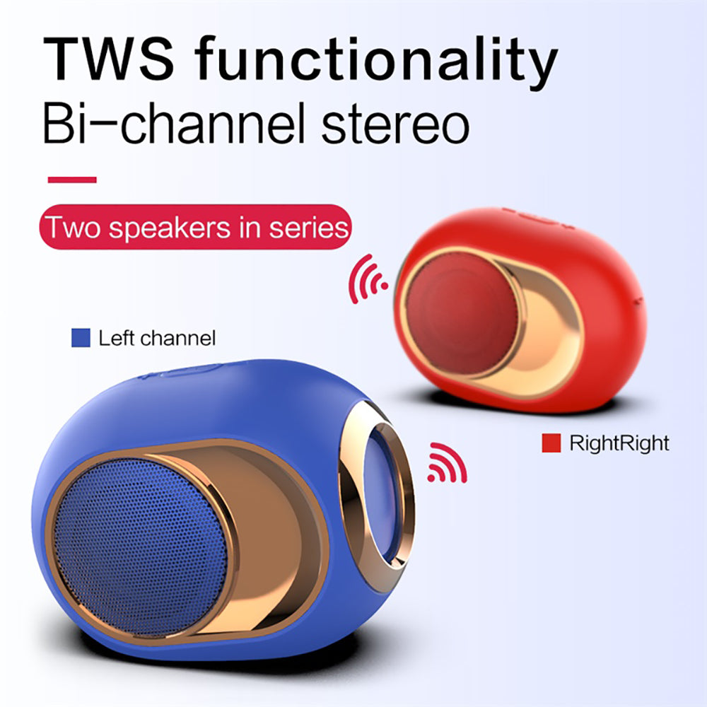 Portable Bluetooth Speaker with Subwoofer Bass
