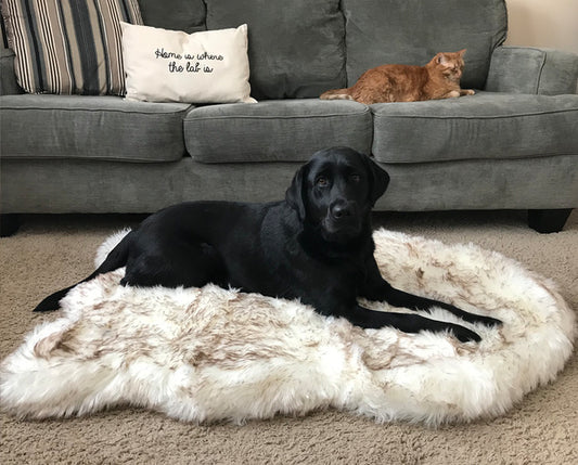 Plush Pet Mat | Dog & Cat Bed | 4 Sizes