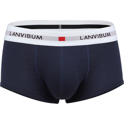 Men's Cotton Boxer Briefs – Low-Waist Everyday Underwear 5 Colours