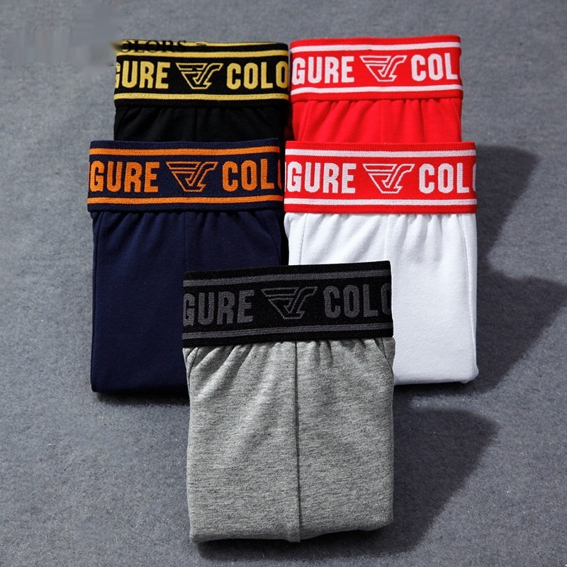 Men's Cotton Boxer Briefs – Breathable Low-Waist 5 Classic Colours