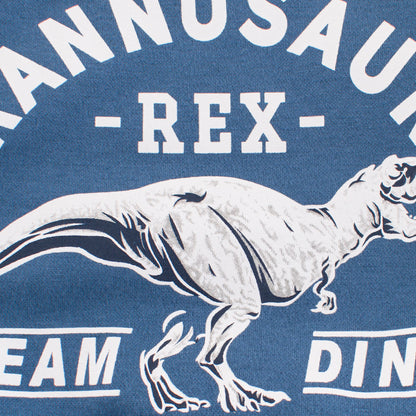 Children's Dinosaur Print Sweatshirt | Long Sleeve Cartoon Top