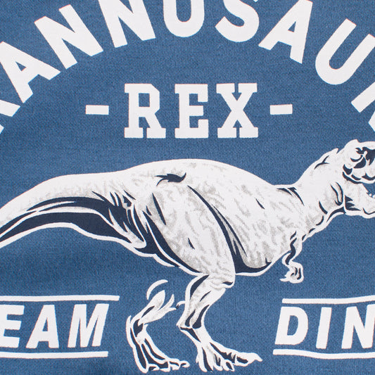 Children's Dinosaur Print Sweatshirt | Long Sleeve Cartoon Top