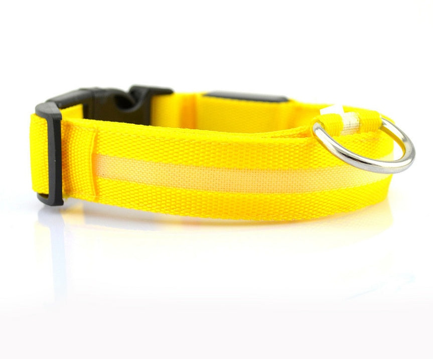 LED Luminous Dog Collar | Nylon Night Safety Flashing Collar XS–XL