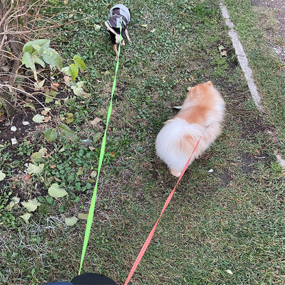 Dual Retractable Dog Lead | 3m Two-Dog Leash with Torch & Poop Bag Holder