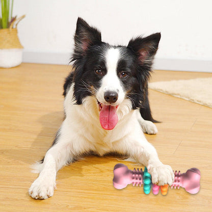 TPR Dog Bone Chew Toy | Dental Cleaning & Gum Massage for Dogs