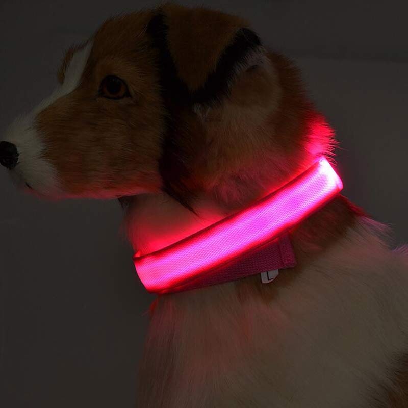 LED Luminous Dog Collar | Nylon Night Safety Flashing Collar XS–XL