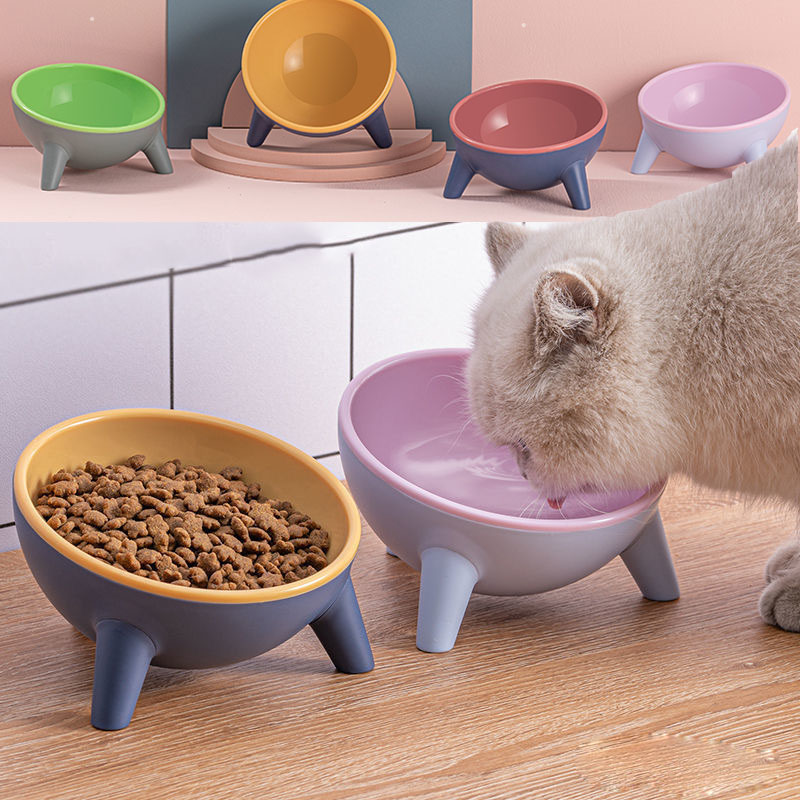 Ergonomic Tilted Pet Feeding Bowl | 15° Angled Cat & Dog Bowl