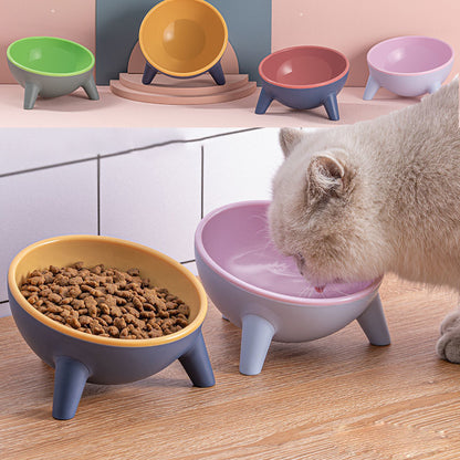 Ergonomic Tilted Pet Feeding Bowl | 15° Angled Cat & Dog Bowl