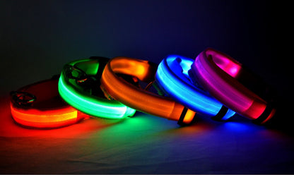 LED Luminous Dog Collar | Nylon Night Safety Flashing Collar XS–XL