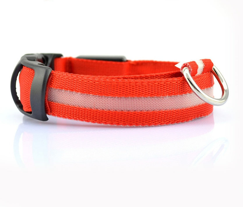 LED Luminous Dog Collar | Nylon Night Safety Flashing Collar XS–XL