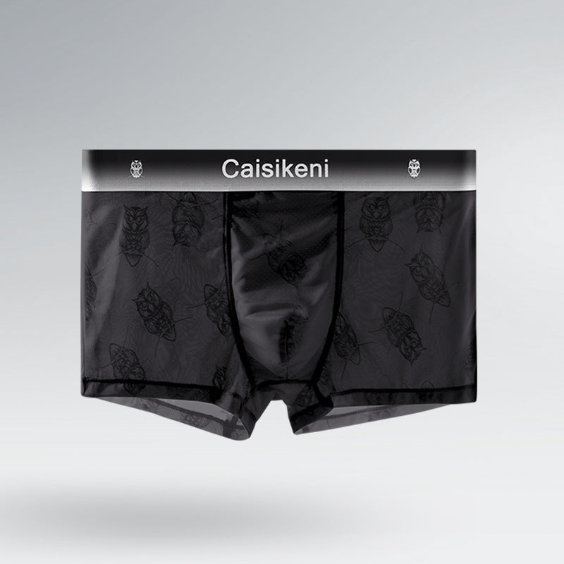 Men's Ice Silk Mesh Boxer Briefs – Quick-Dry Gradient Underwear