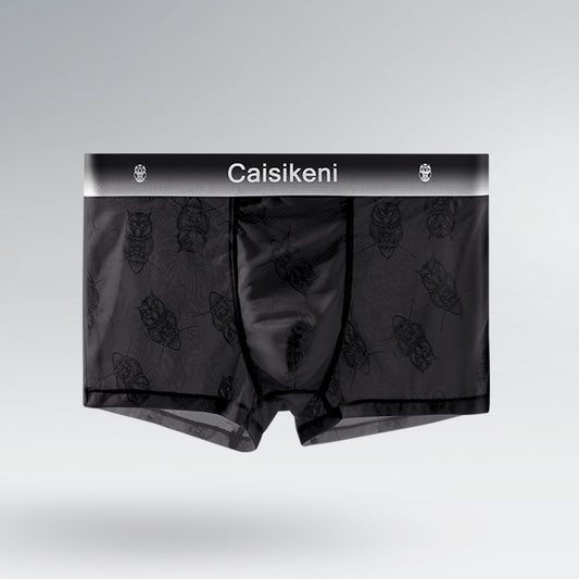 Men's Ice Silk Mesh Boxer Briefs – Quick-Dry Gradient Underwear
