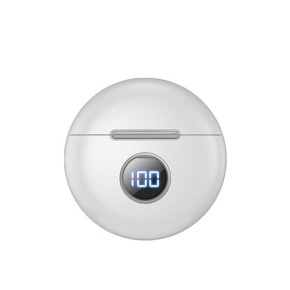 Wireless Bluetooth Earbuds 5.1 with Charging Case