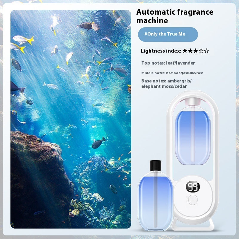 USB Aromatherapy Diffuser with Ambient Light | Essential Oil Bundle Options