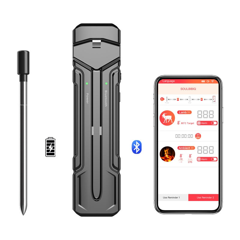 Wireless Kitchen Oven & Food Thermometer | ±1°C Accuracy
