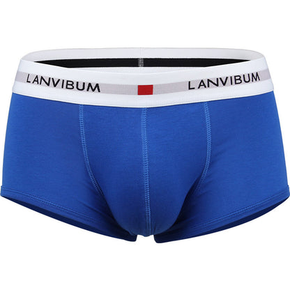 Men's Cotton Boxer Briefs – Low-Waist Everyday Underwear 5 Colours