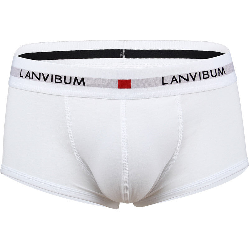 Men's Cotton Boxer Briefs – Low-Waist Everyday Underwear 5 Colours