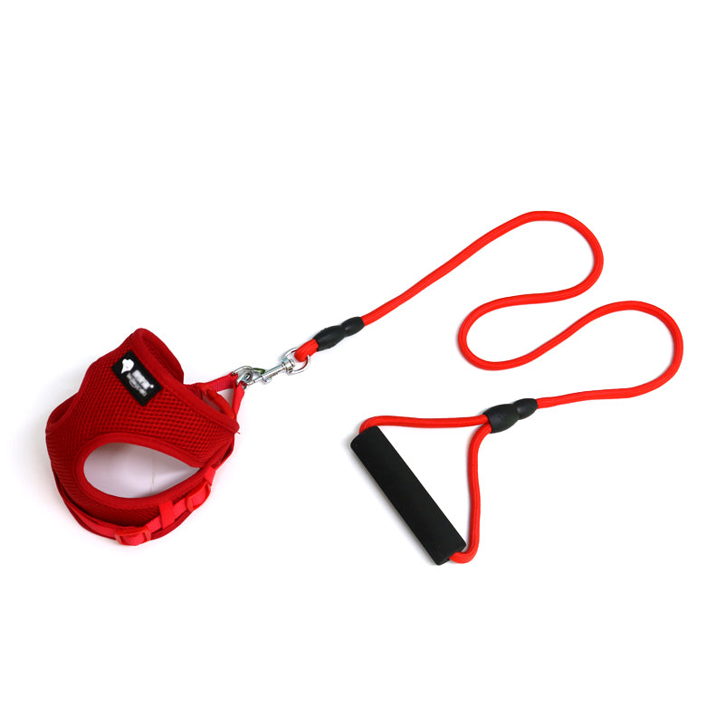Mesh Dog Harness & Leash Set | Foam Handle | Small Dogs