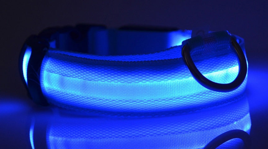 LED Luminous Dog Collar | Nylon Night Safety Flashing Collar XS–XL