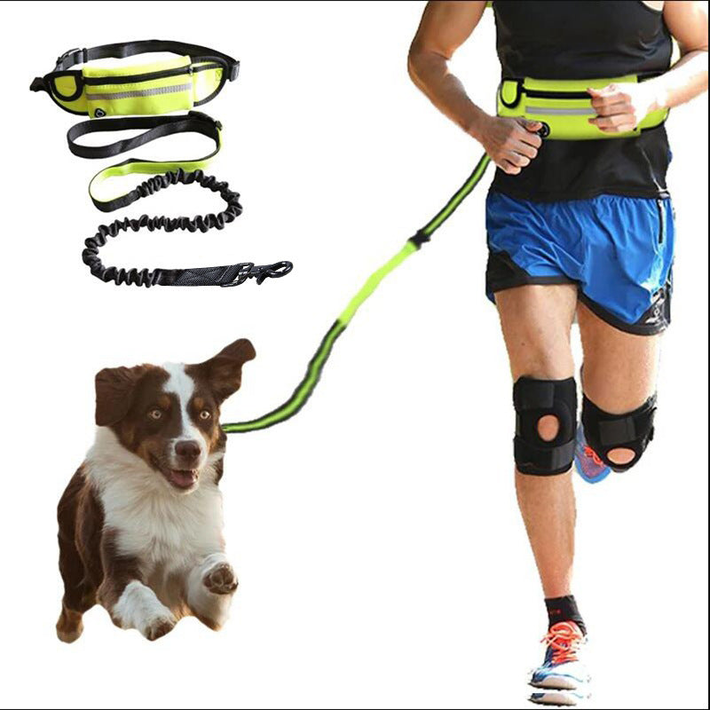 Hands-Free Dog Running Belt | Bungee Leash Waist Pack with Phone Pocket