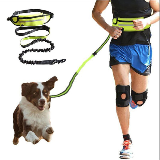 Hands-Free Dog Running Belt | Bungee Leash Waist Pack with Phone Pocket