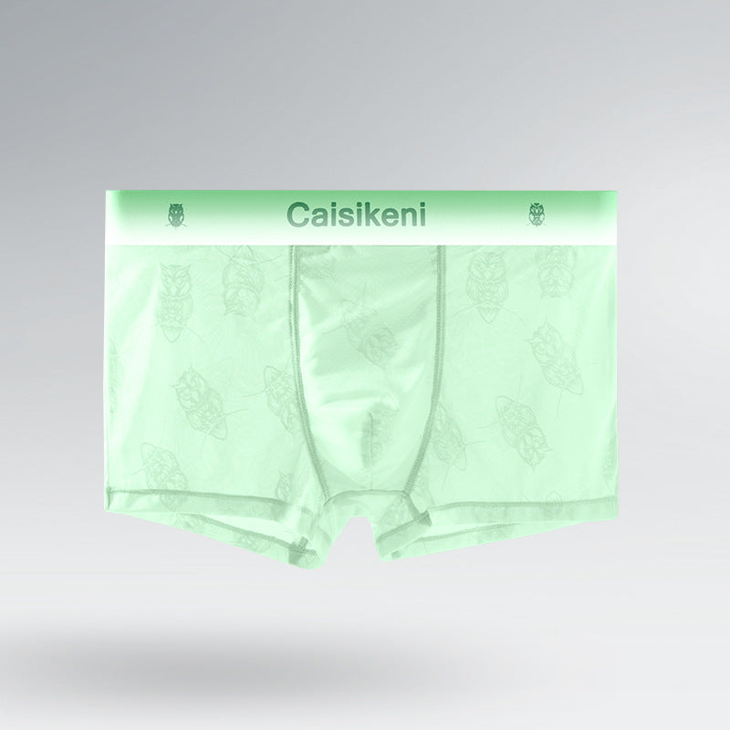 Men's Ice Silk Mesh Boxer Briefs – Quick-Dry Gradient Underwear