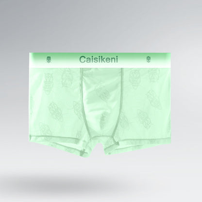 Men's Ice Silk Mesh Boxer Briefs – Quick-Dry Gradient Underwear