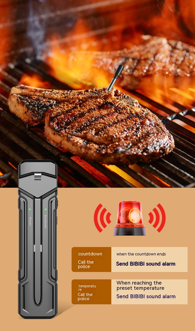 Wireless Kitchen Oven & Food Thermometer | ±1°C Accuracy