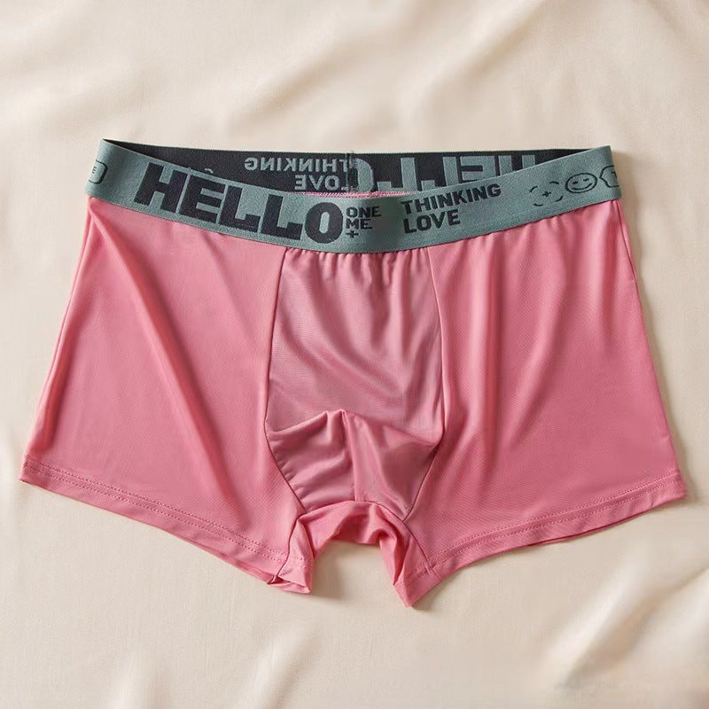 Men's Ice Silk Antibacterial Boxer Briefs | 8 Colours | L–6XL