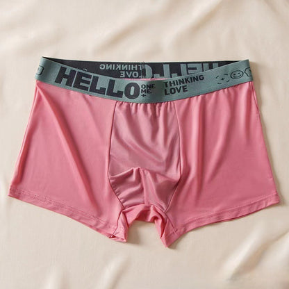 Men's Ice Silk Antibacterial Boxer Briefs | 8 Colours | L–6XL