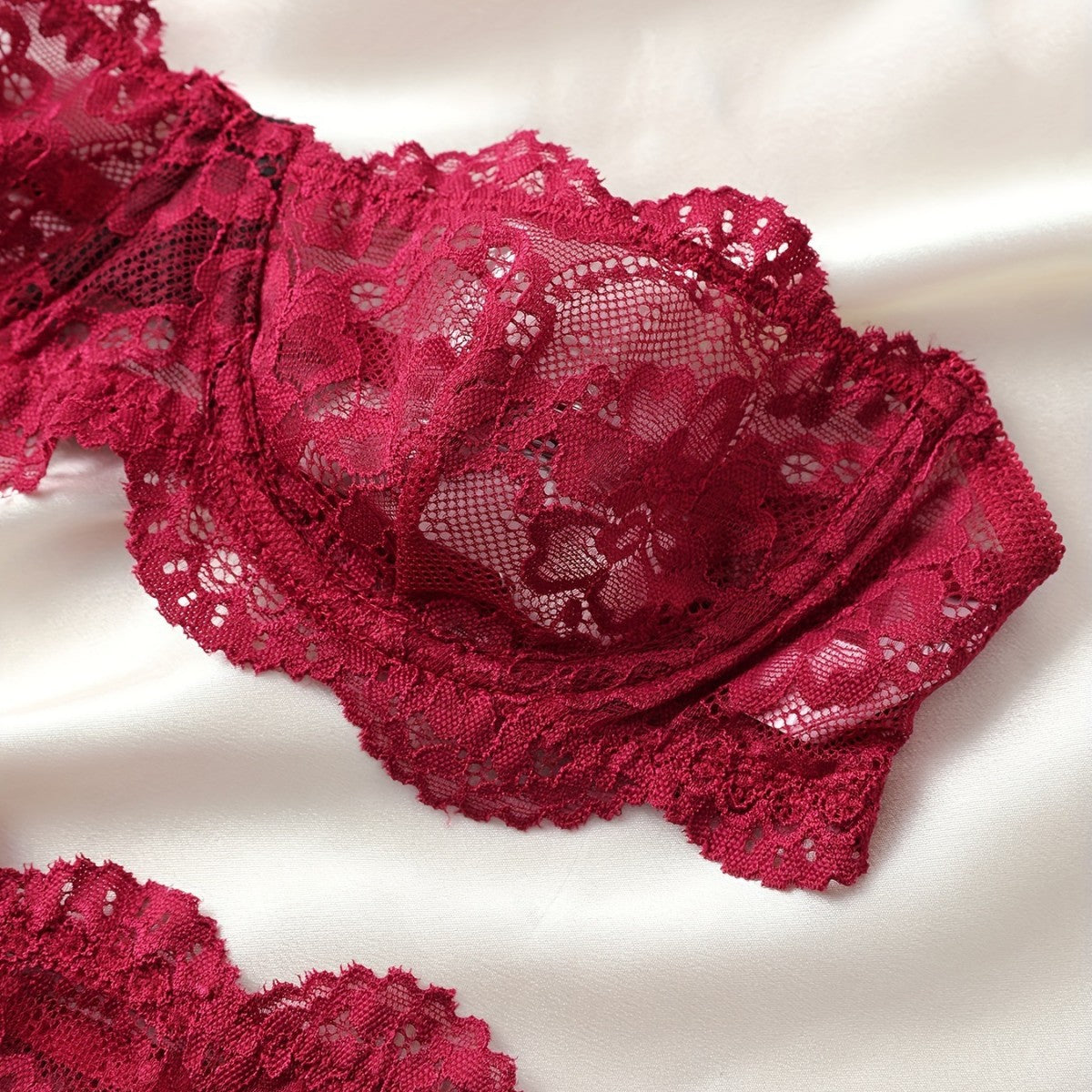 Women's Lace Floral Lingerie Set in Wine Red | Bra & Knicker Set