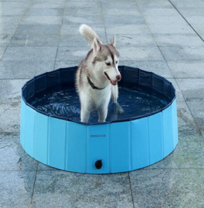Foldable Dog Paddling Pool | No-Inflate PVC Collapsible Pool for Dogs