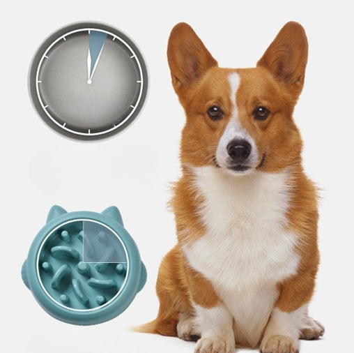 Slow Feeder Dog Bowl | Anti-Gulping Bone Pattern Puzzle Bowl