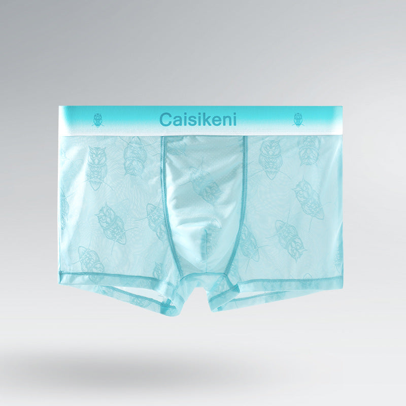 Men's Ice Silk Mesh Boxer Briefs – Quick-Dry Gradient Underwear