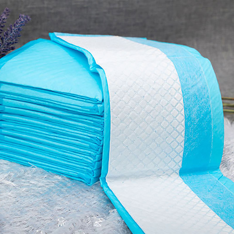 Disposable Absorbent Pet Training Pads – Puppy Pee Pads XS–XL