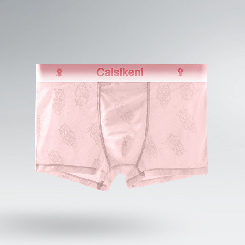 Men's Ice Silk Mesh Boxer Briefs – Quick-Dry Gradient Underwear