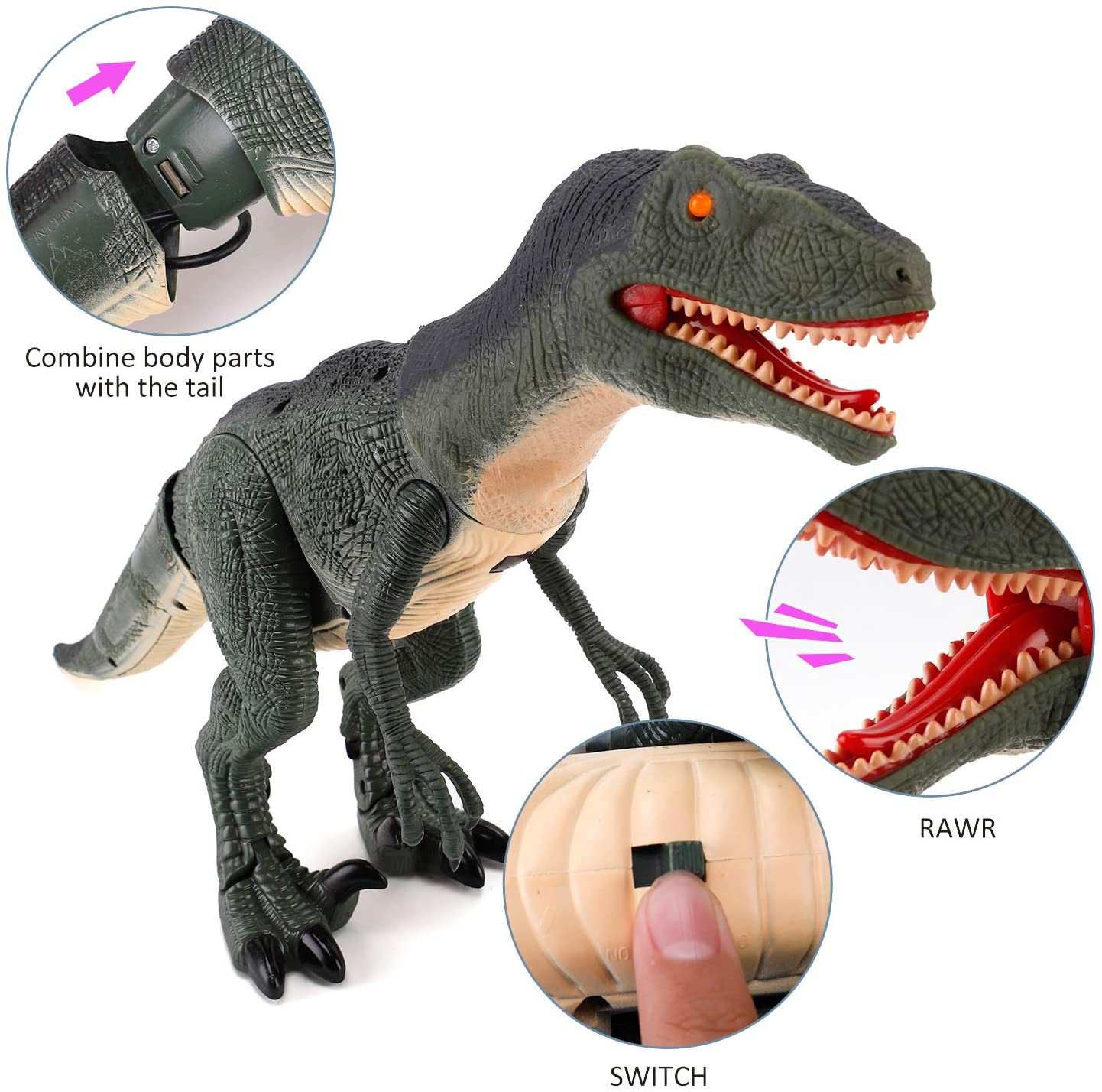 RC Walking Velociraptor Dinosaur Toy - Roaring Sounds Light-Up Eyes Infrared Remote Age 3+