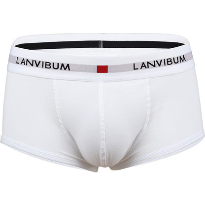 Men's Cotton Boxer Briefs – Low-Waist Everyday Underwear 5 Colours