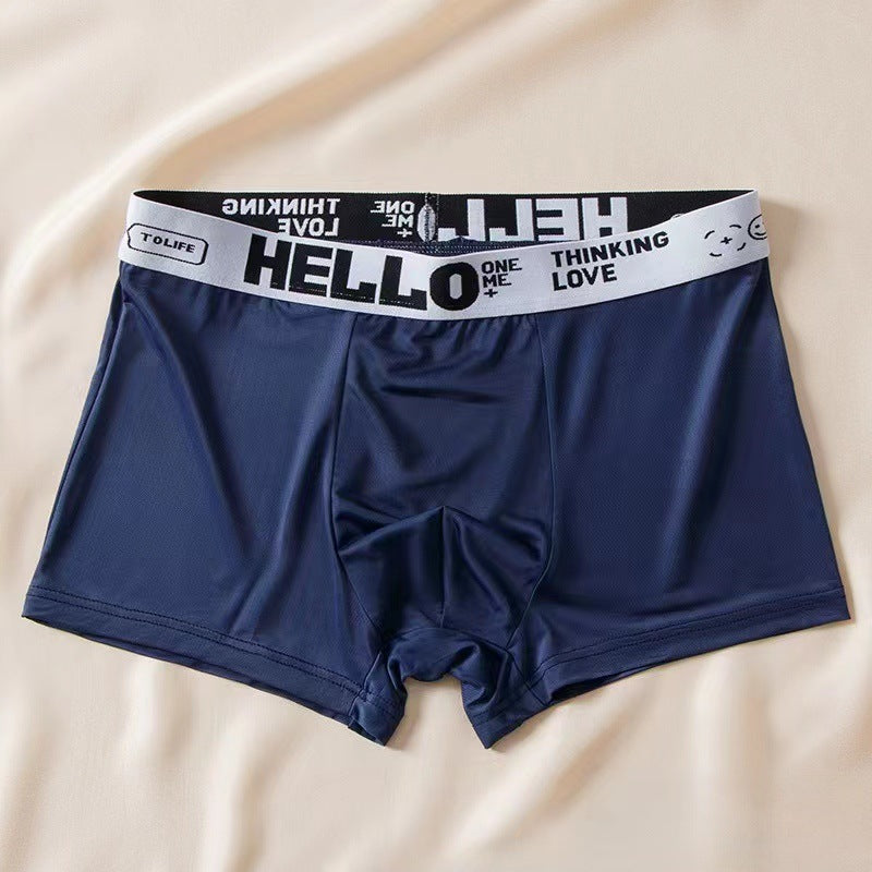 Men's Ice Silk Antibacterial Boxer Briefs | 8 Colours | L–6XL