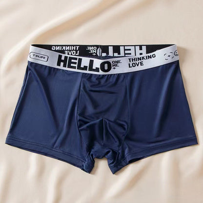 Men's Ice Silk Antibacterial Boxer Briefs | 8 Colours | L–6XL