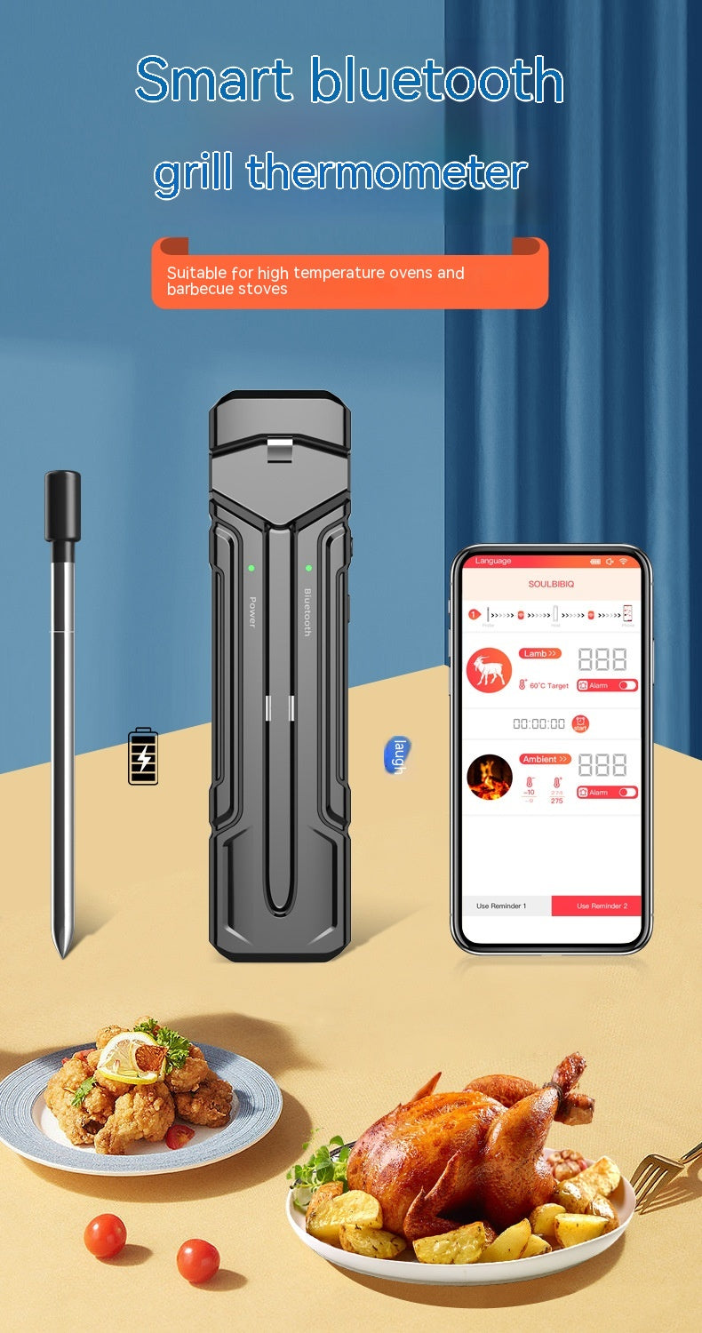 Wireless Kitchen Oven & Food Thermometer | ±1°C Accuracy