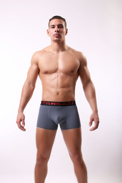 Men's Breathable Polyester Boxer Briefs Low-Rise S–XL