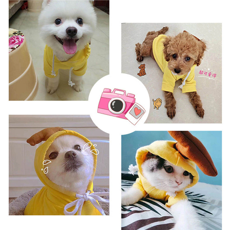 Cute Novelty Dog Hoodie Sweater | Fruit Print Drawstring Coat for Small Dogs